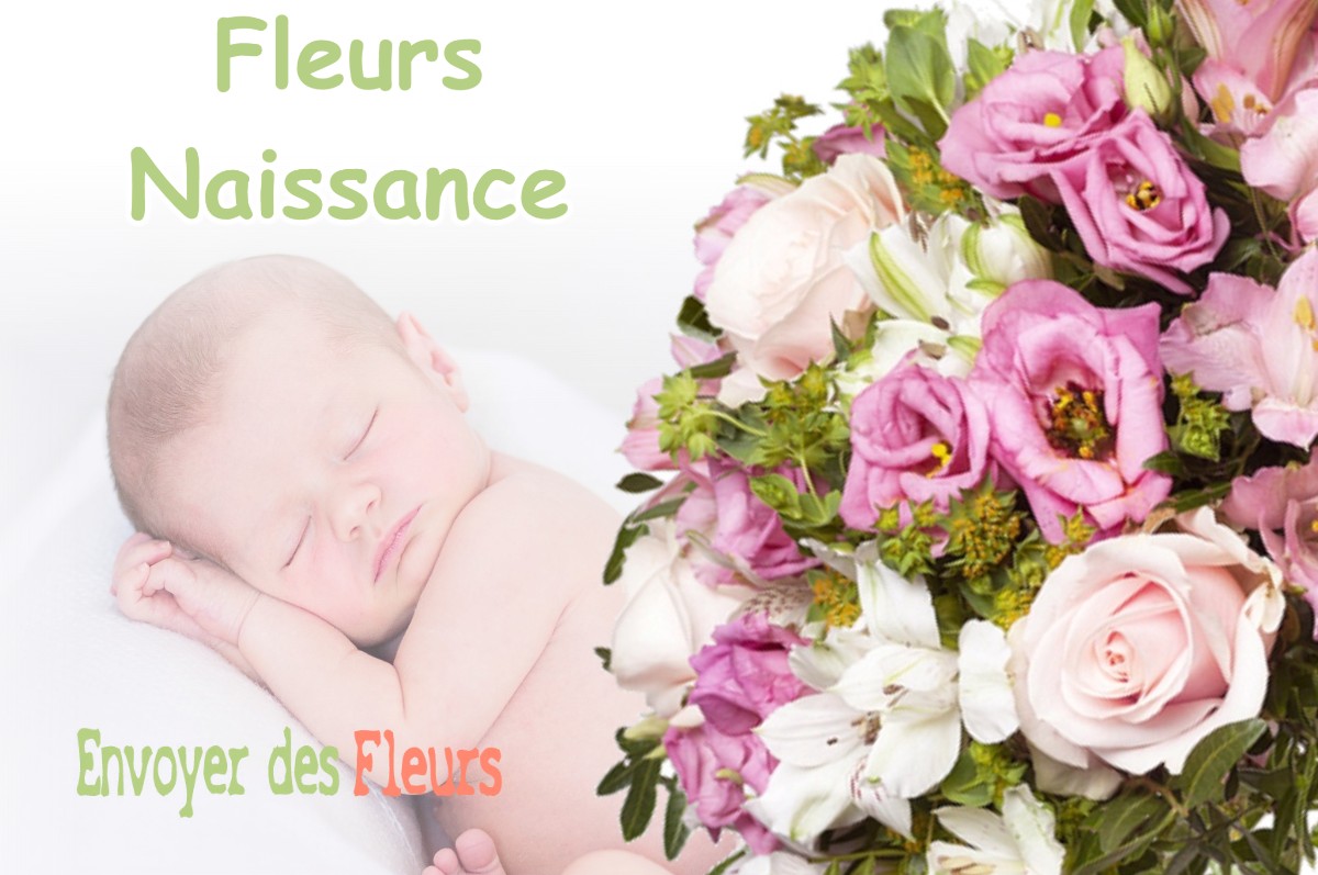 lIVRAISON FLEURS NAISSANCE à NEPVANT